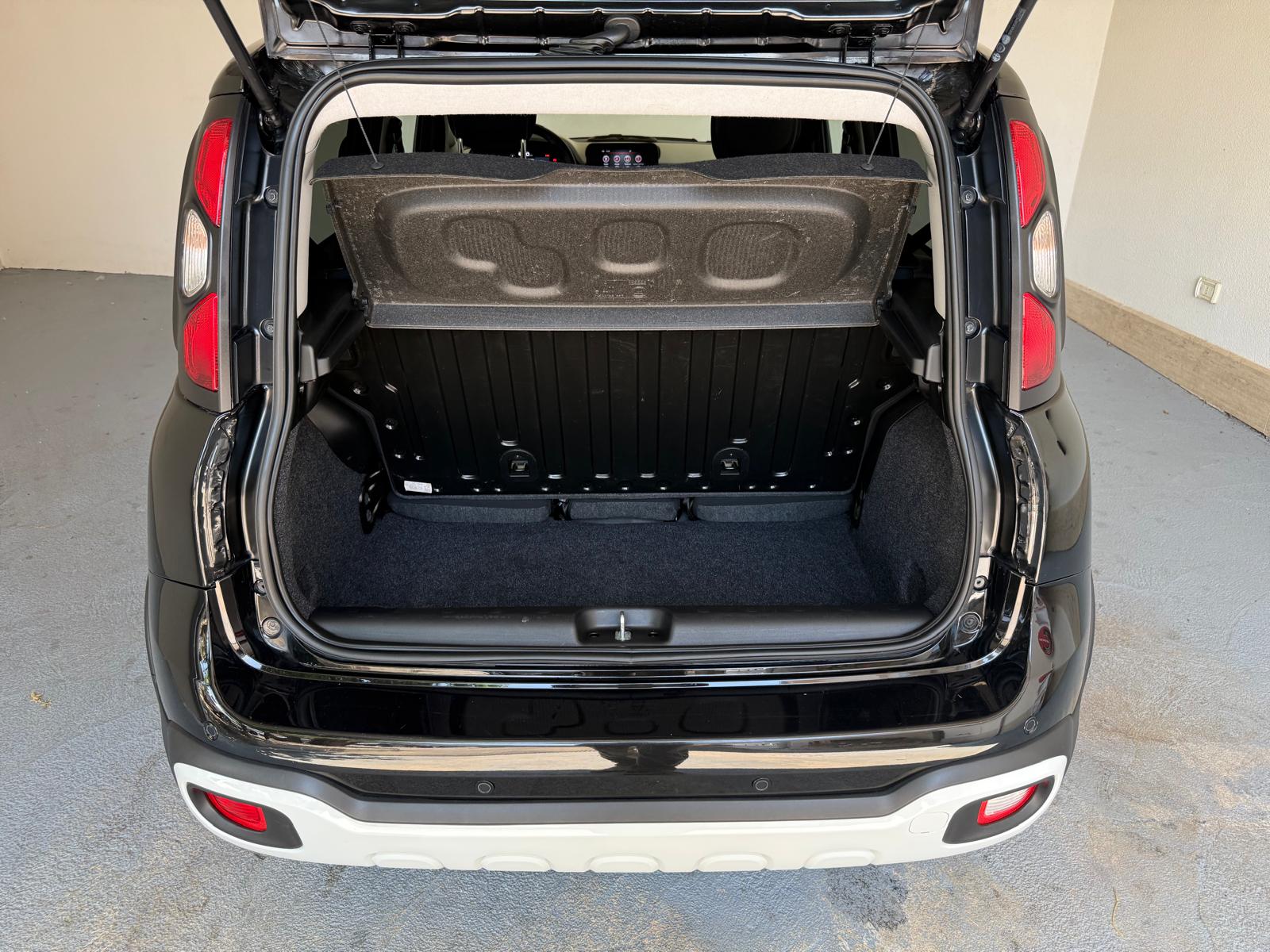 
								FIAT  Pandina Cross 1.0 FireFly S&S Hybrid full									