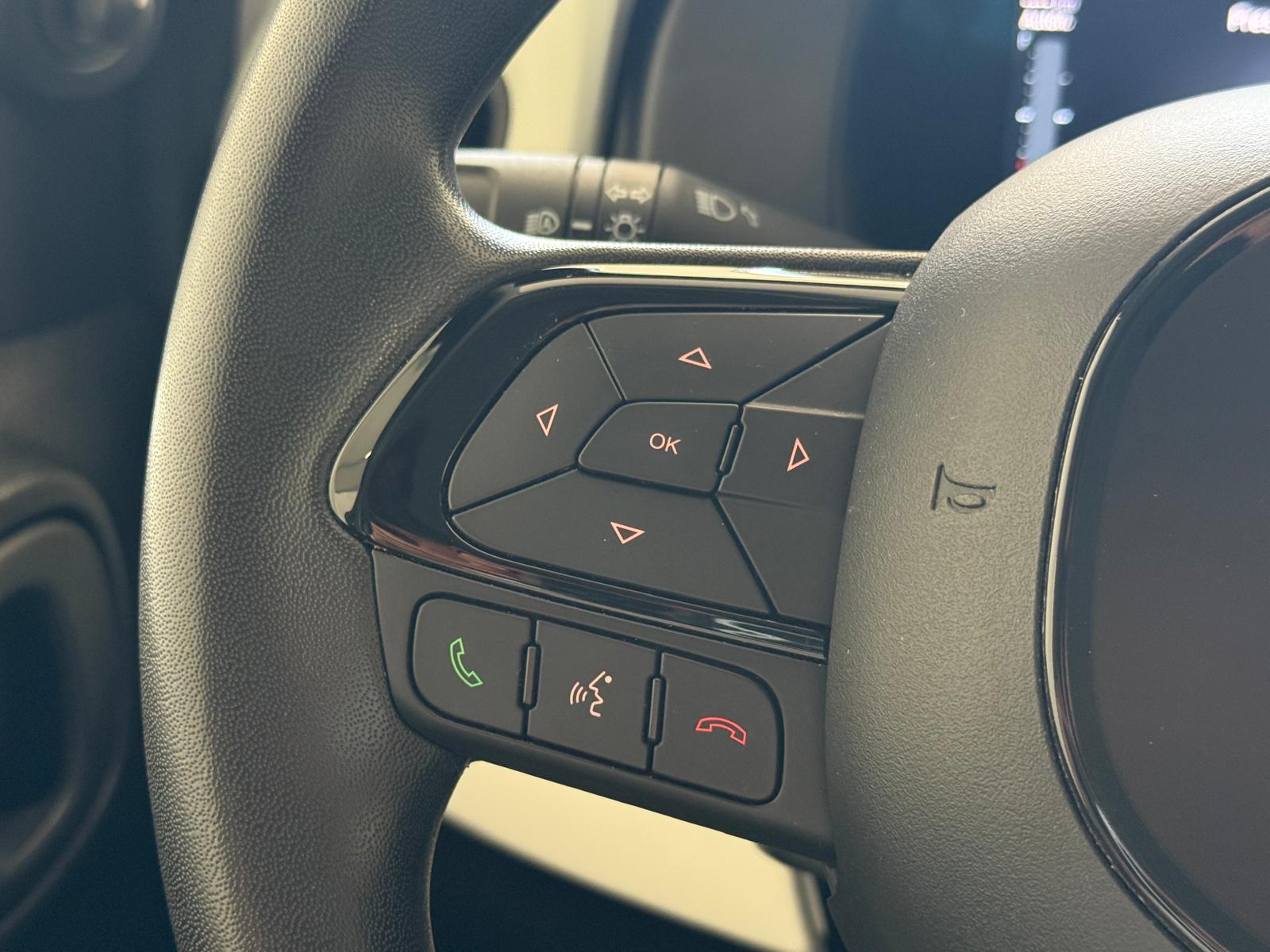 
								FIAT  Pandina Cross 1.0 FireFly S&S Hybrid full									