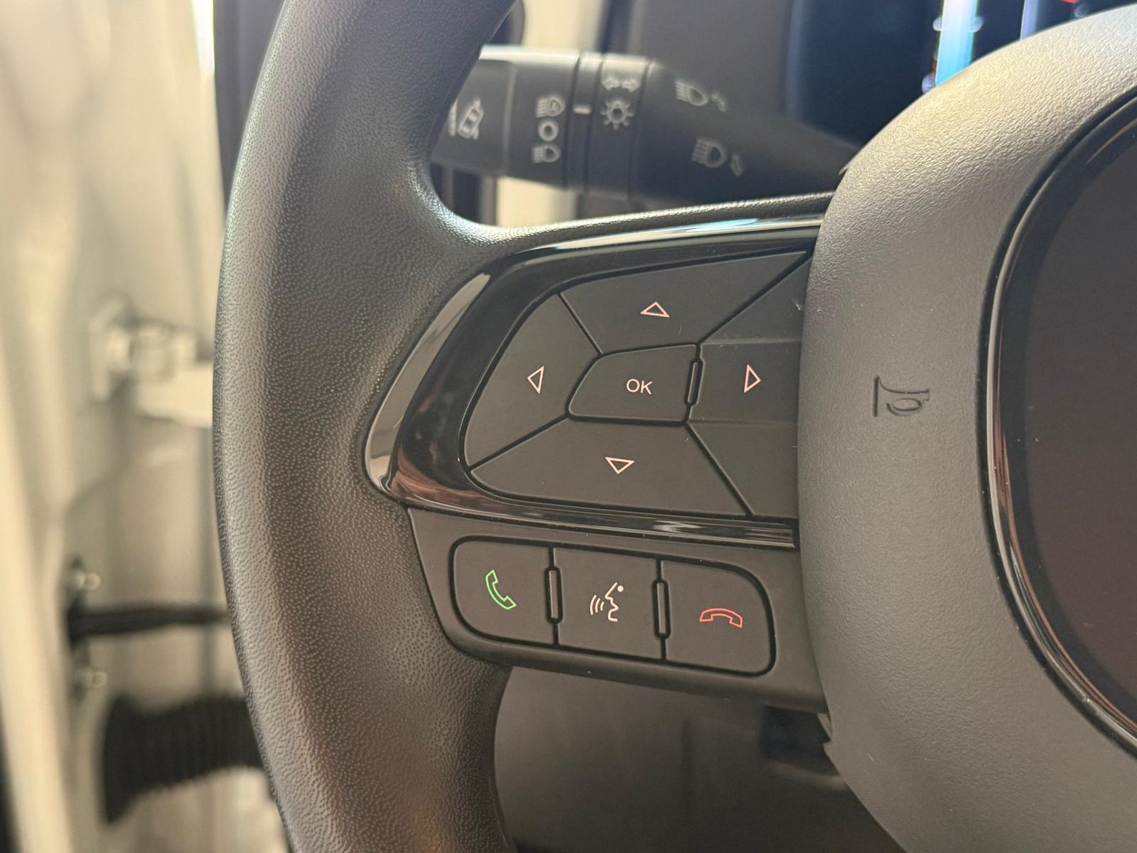 
								FIAT Pandina Cross 1.0 FireFly S&S Hybrid full									